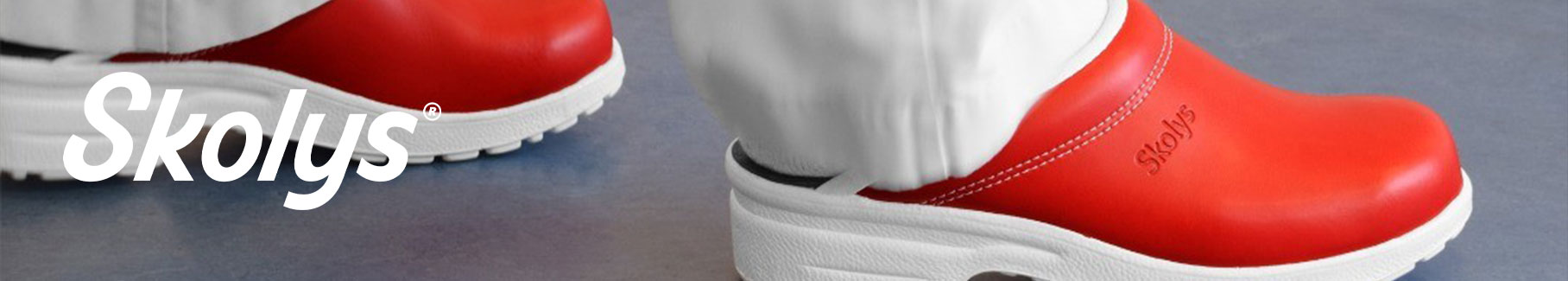 Skolys